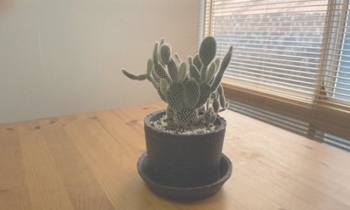 沢田,国語,galata